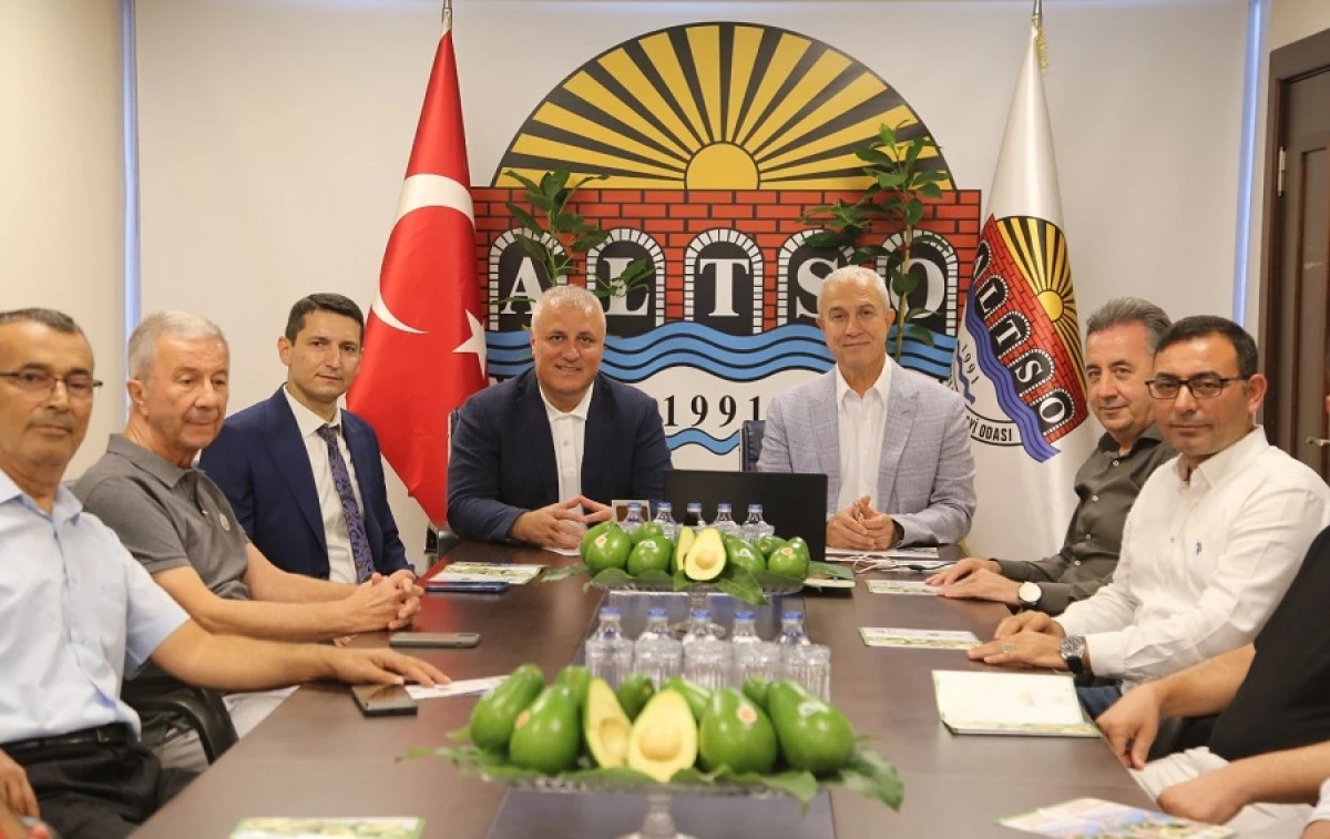 Alanya Avokadosu İ&ccedil;in Avrupa Birliği&rsquo;ne Coğrafi İşaret Başvurusu