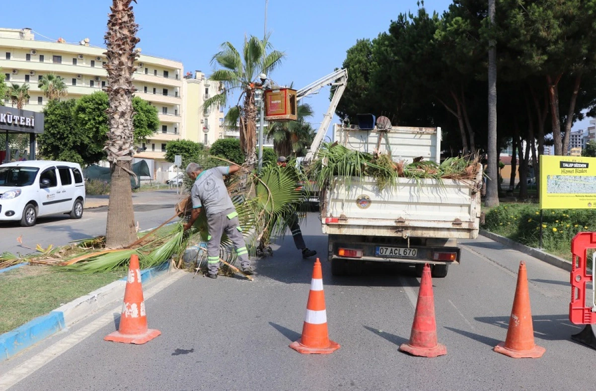 Alanya Belediyesi Park ve Bah&ccedil;eler M&uuml;d&uuml;rl&uuml;ğ&uuml; 7/24 sahada