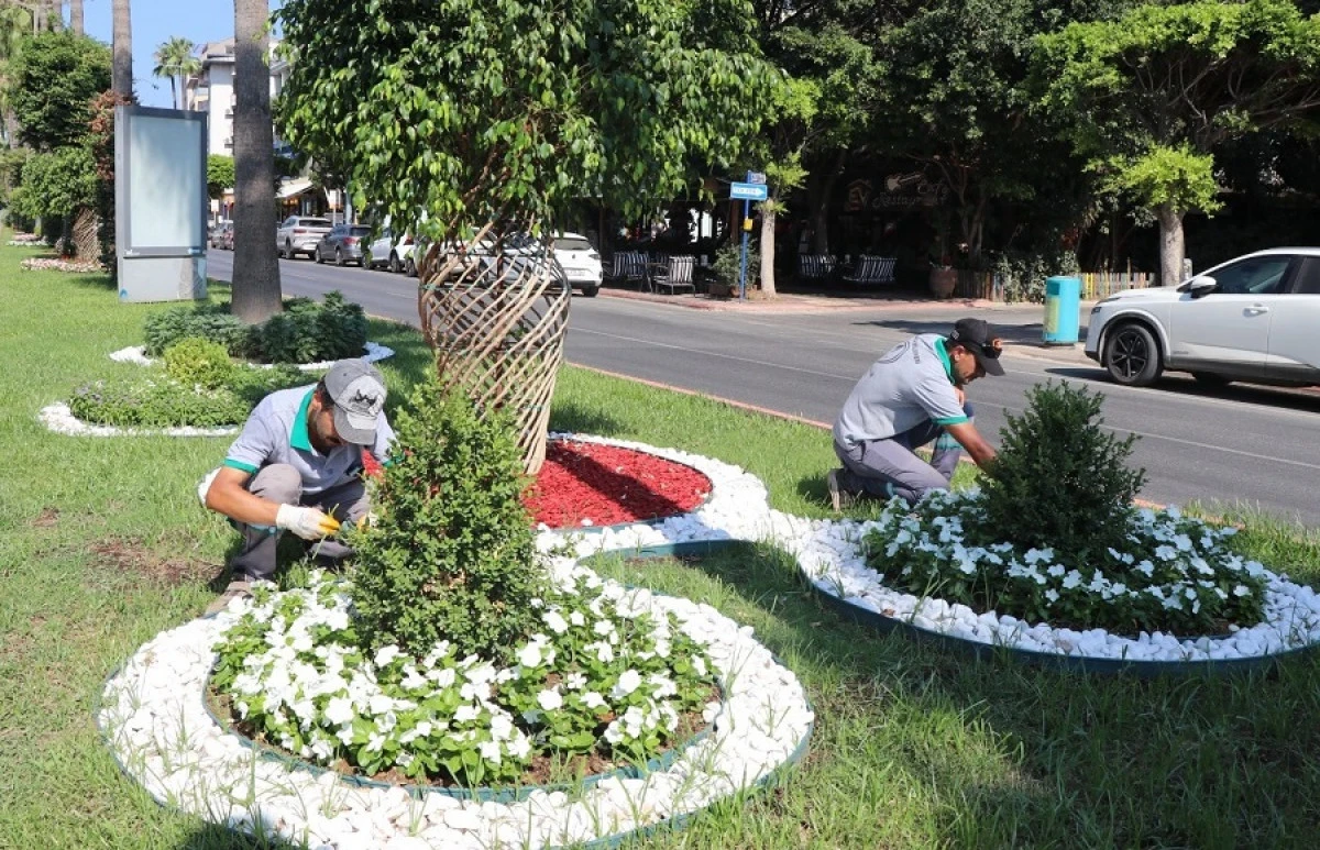 Alanya Belediyesi Yangın Riskine Karşı Yeşil Alanlarda &Ccedil;alışmalarını S&uuml;rd&uuml;r&uuml;yor