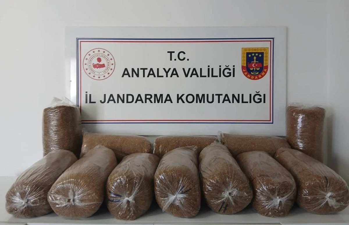Alanya&rsquo;da 72 Kilo Ka&ccedil;ak T&uuml;t&uuml;n Ele Ge&ccedil;irildi