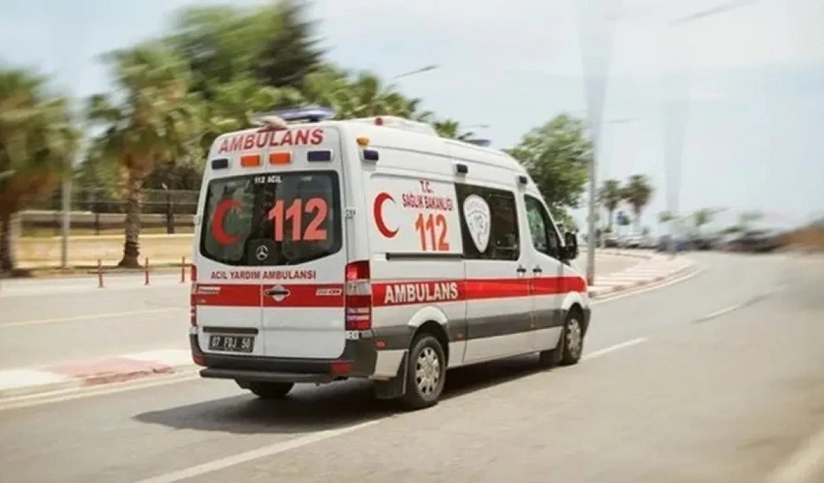 Alanya&rsquo;da Ağa&ccedil; Kesimi Faciayla Sonu&ccedil;landı: 1 Kişi Yaralandı