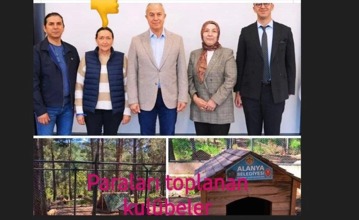 Alanya&rsquo;da Barınak Bağışları Tartışması B&uuml;y&uuml;yor: 29 Sayfalık İhlal Dosyası A&ccedil;ıklandı