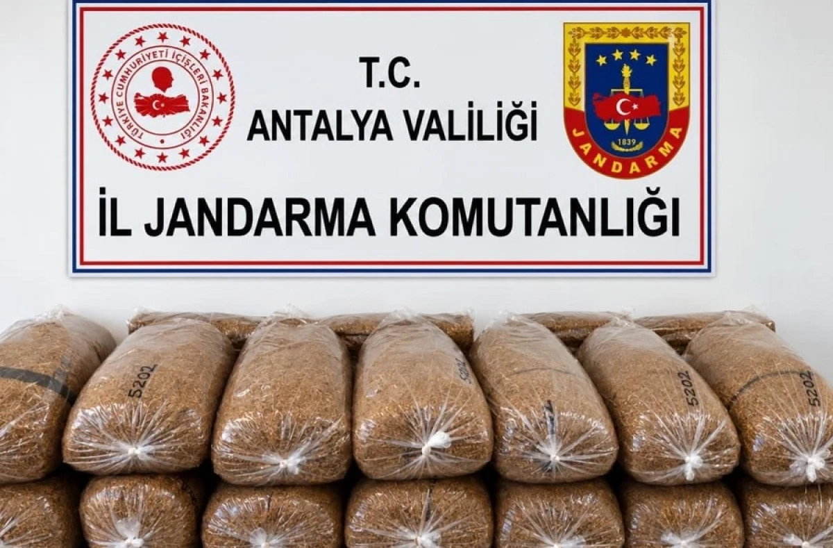 Alanya&rsquo;da Ka&ccedil;ak T&uuml;t&uuml;n Operasyonu: 144 Kilo Ele Ge&ccedil;irildi