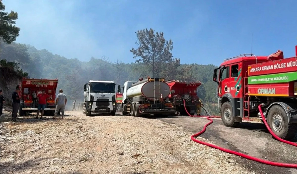 Alanya'da Orman Yangını Kontrol Altına Alındı