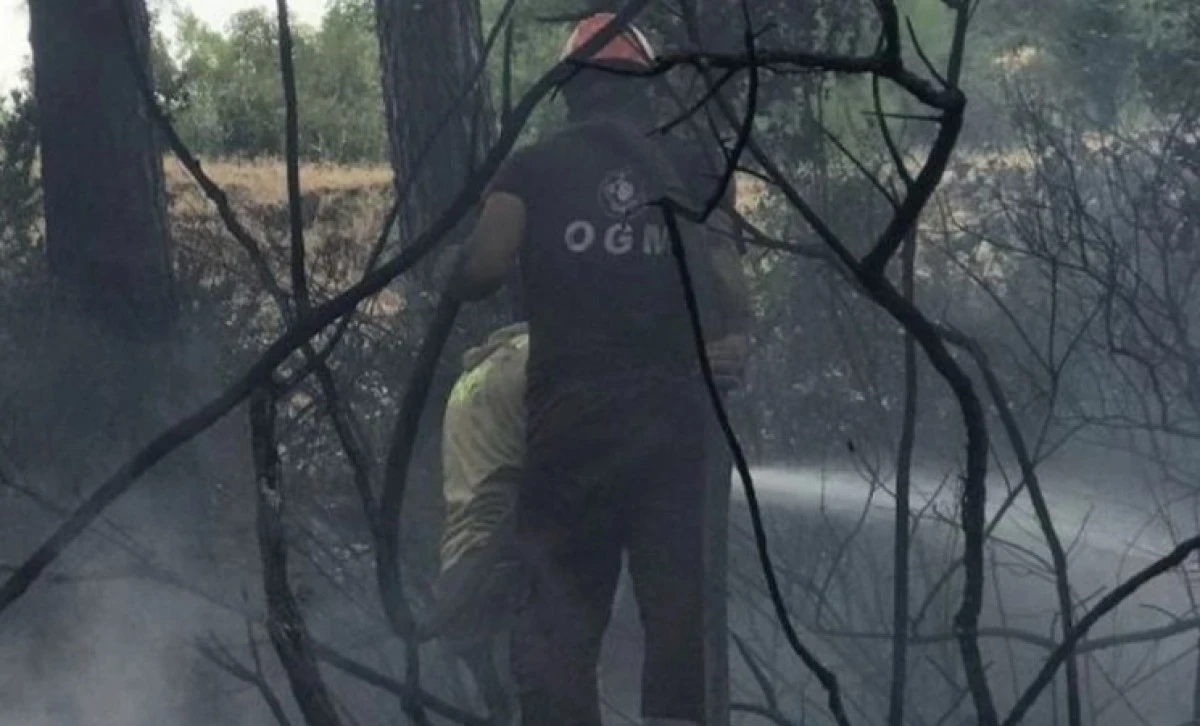 Alanya&rsquo;da Yıldırım Orman Yangınına Neden Oldu
