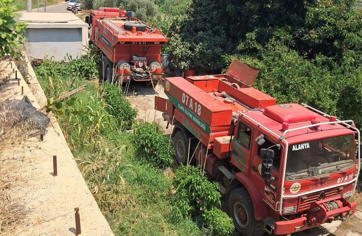 Alanya'da Zirai Alan Yangını Ormana Sı&ccedil;ramadan S&ouml;nd&uuml;r&uuml;ld&uuml;