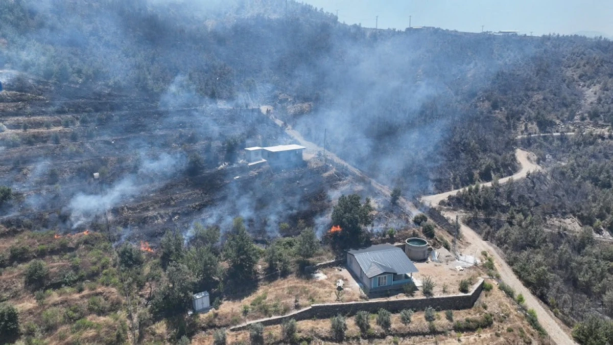 Alanya'daki Orman Yangını B&uuml;y&uuml;k &Ouml;l&ccedil;&uuml;de Kontrol Altına Alındı