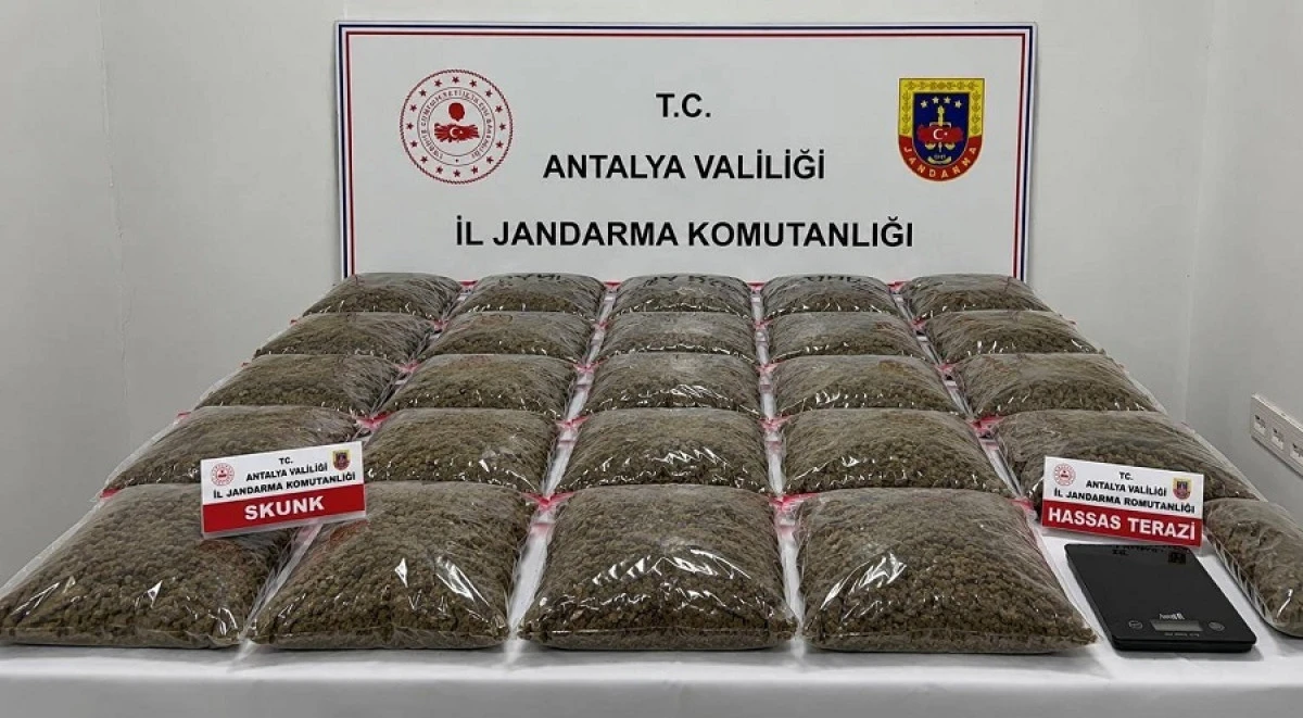 Antalya Ve Bursa&rsquo;da Uyuşturucu Operasyonu: 13 Kilo 700 Gram Skunk Ele Ge&ccedil;irildi
