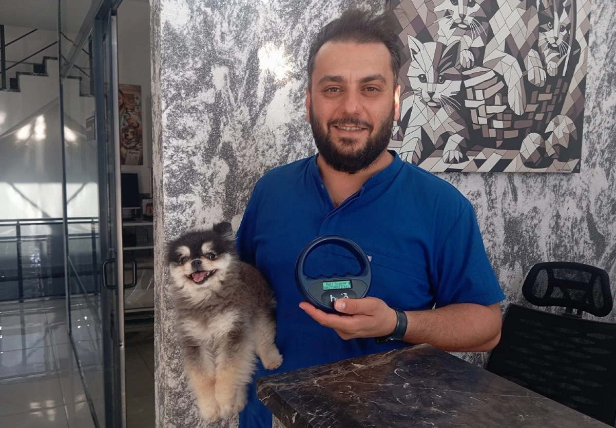 Bir &Ccedil;ip, Bir Veteriner, Bir Mutlu Son: Luna Sahibine Kavuştu