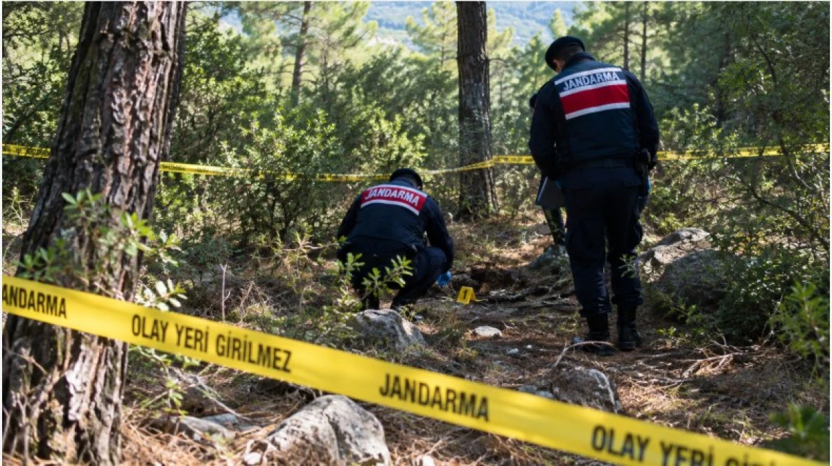 Gazipaşa&rsquo;da Ormanlık Alanda Kafatası Ş&uuml;phesi