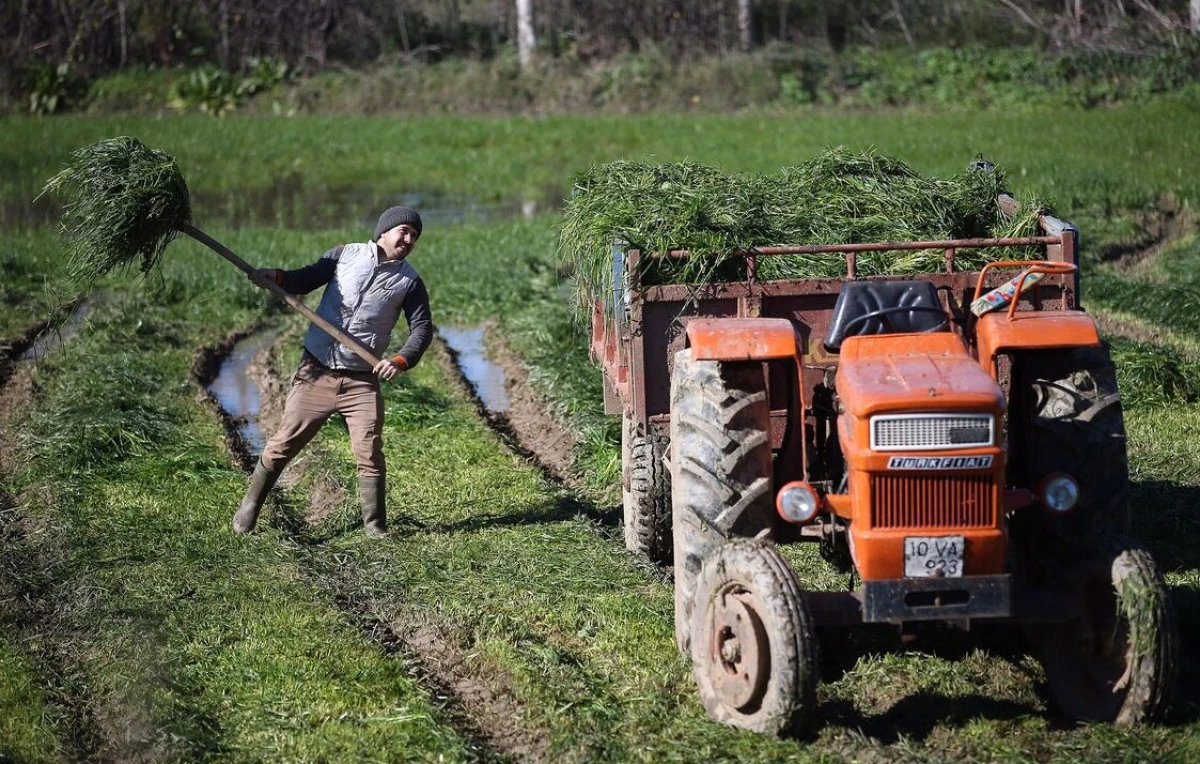 Mazot Ve G&uuml;bre Destek &Ouml;demeleri İ&ccedil;in Takvim A&ccedil;ıklandı