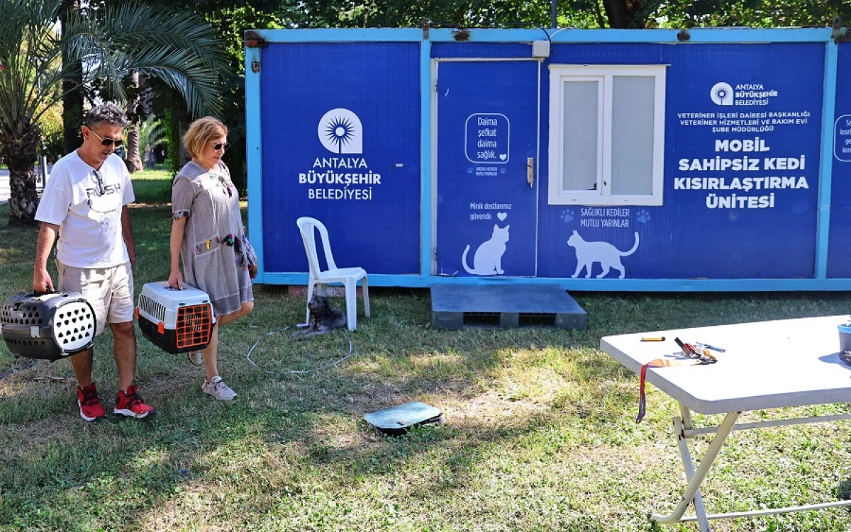 Mobil Sahipsiz Kedi Kısırlaştırma &Uuml;nitesi Karaalioğlu Parkı&rsquo;nda