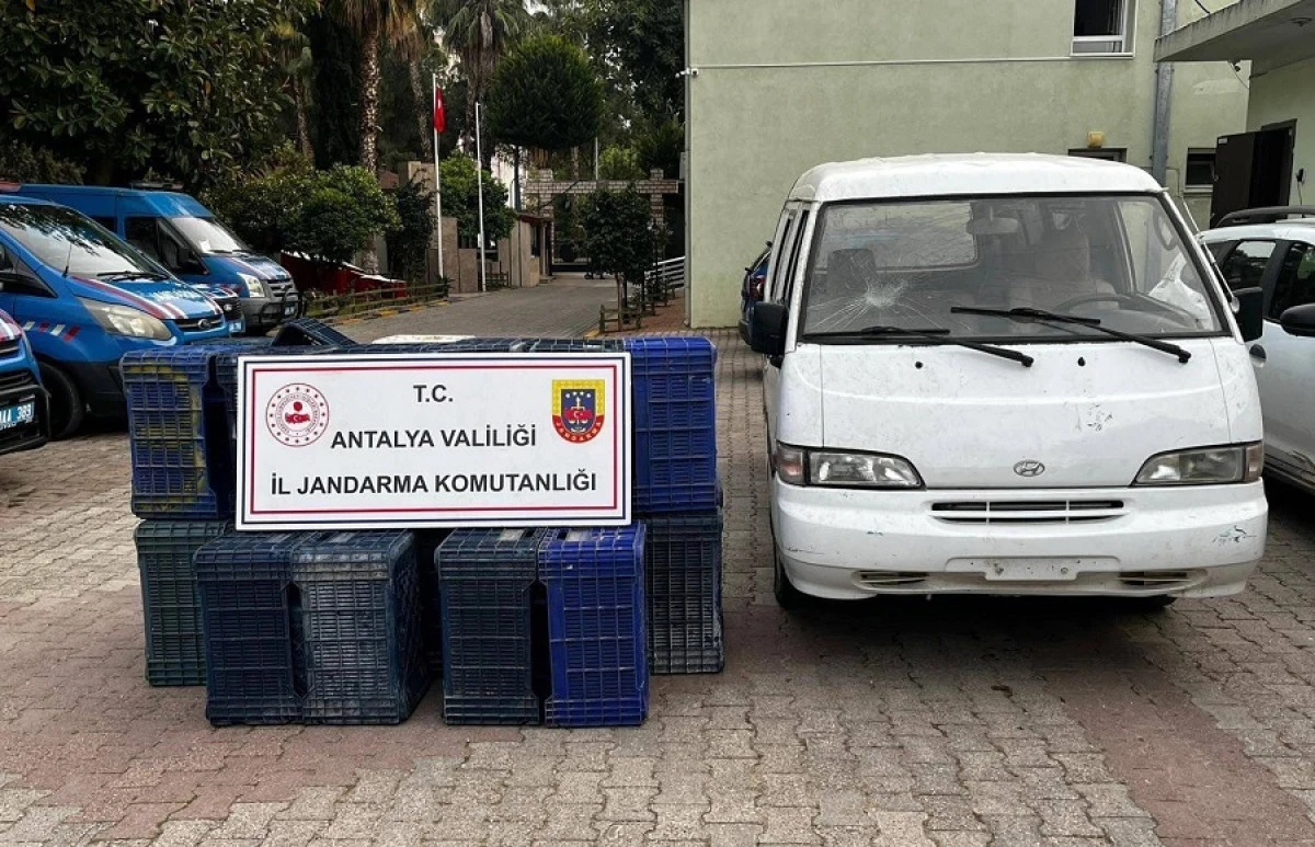 Sahte Plaka Oyunu Bozuldu: JASAT Hırsızları Kıskıvrak Yakaladı