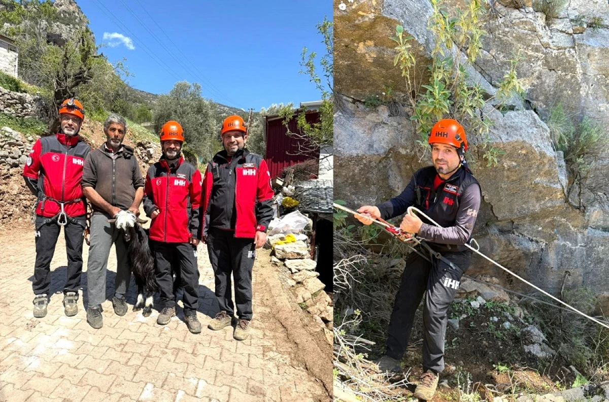 Sarp Arazide Mahsur Kalan Ke&ccedil;iler Kurtarıldı